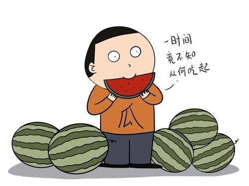 讲娱乐故事理智吃瓜,娱乐故事中的智慧解析